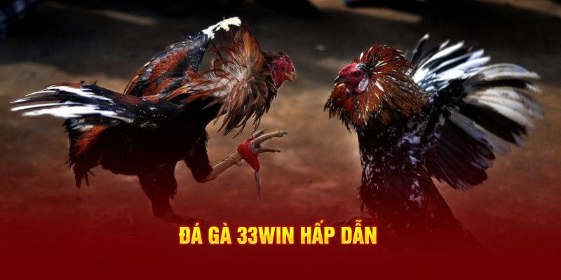 Thông tin mới nhất về sảnh game đá gà 33WIN cho newbie 